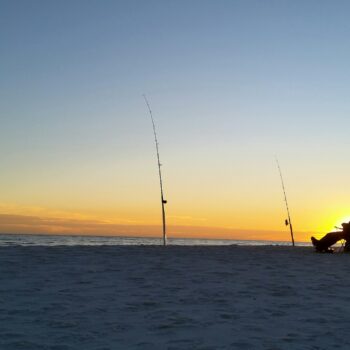 Pasco County, FL Bondsman